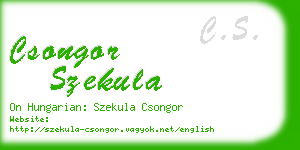 csongor szekula business card